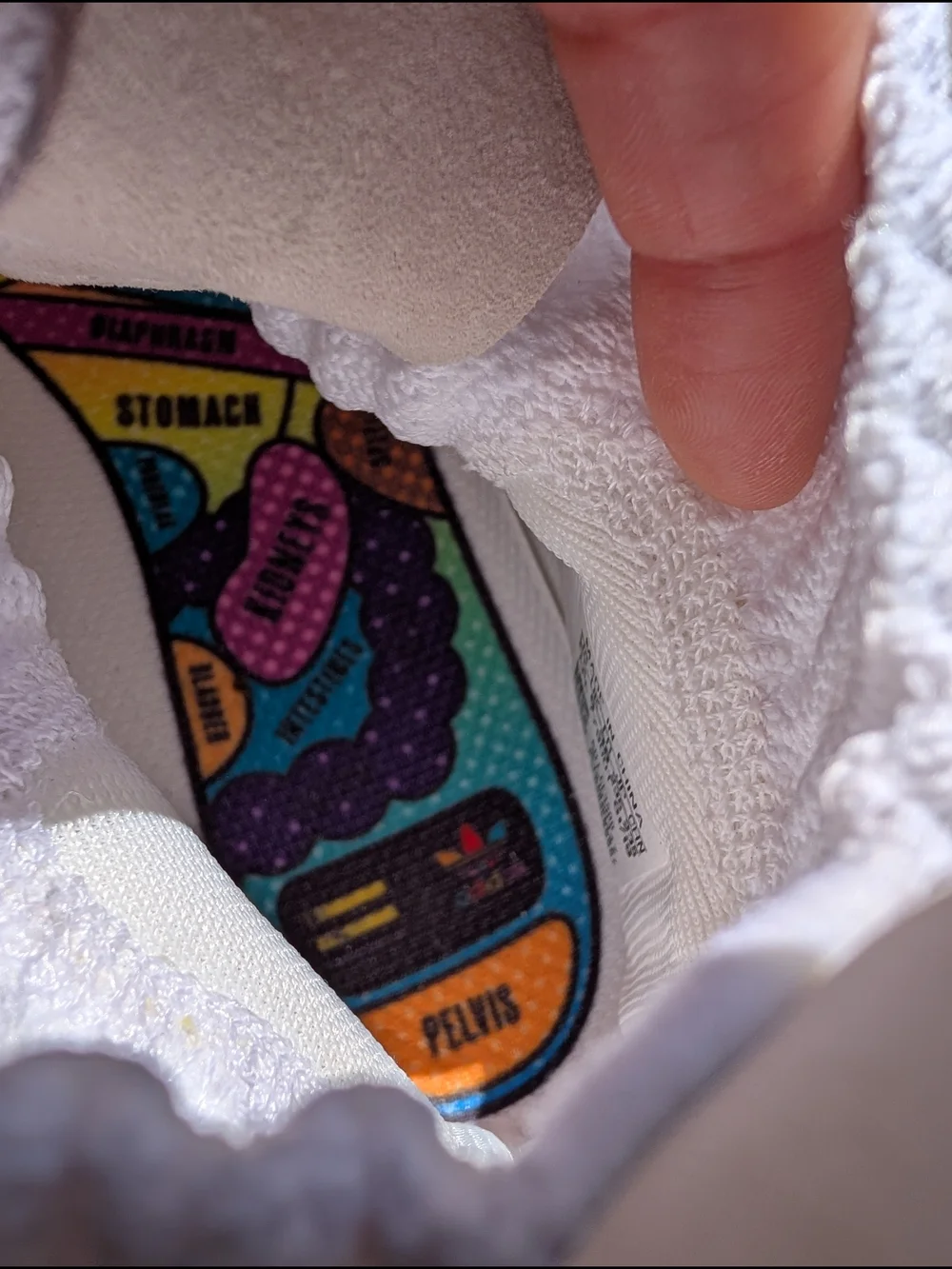 adidas from pharrell